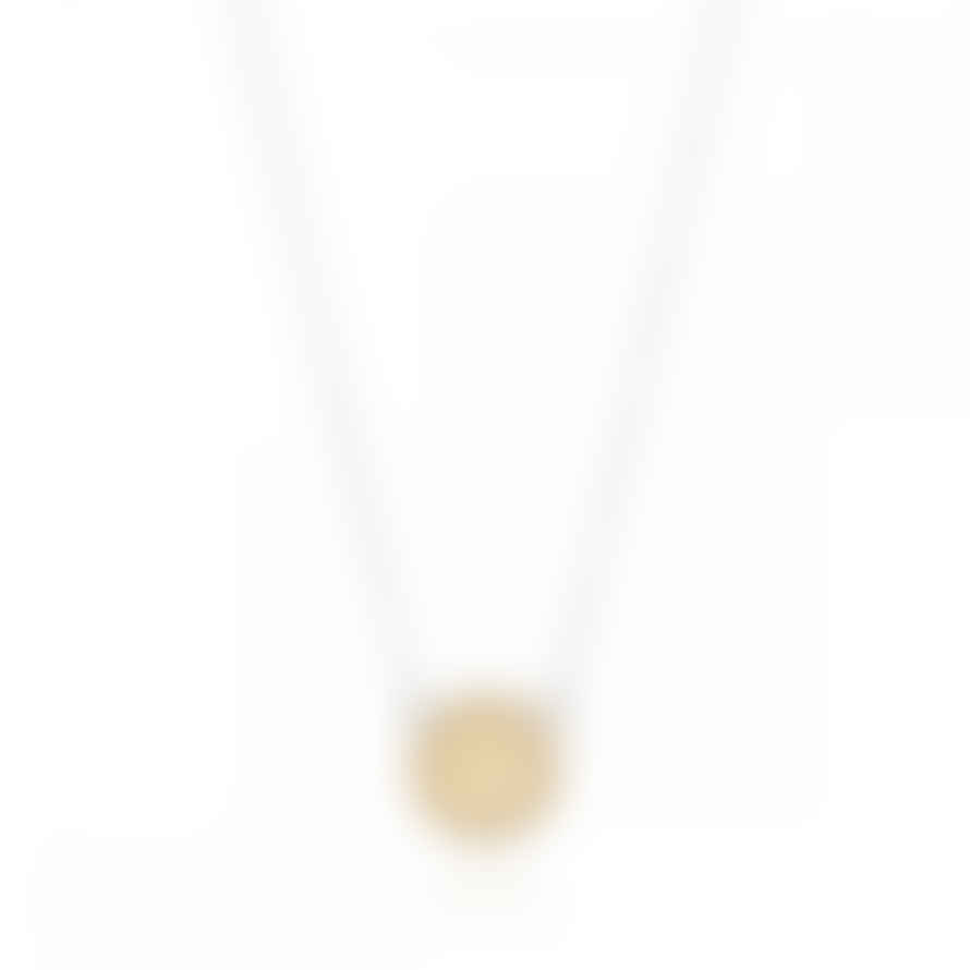 Anna Beck Classic Mini Disc Reversible Necklace - Gold & Silver