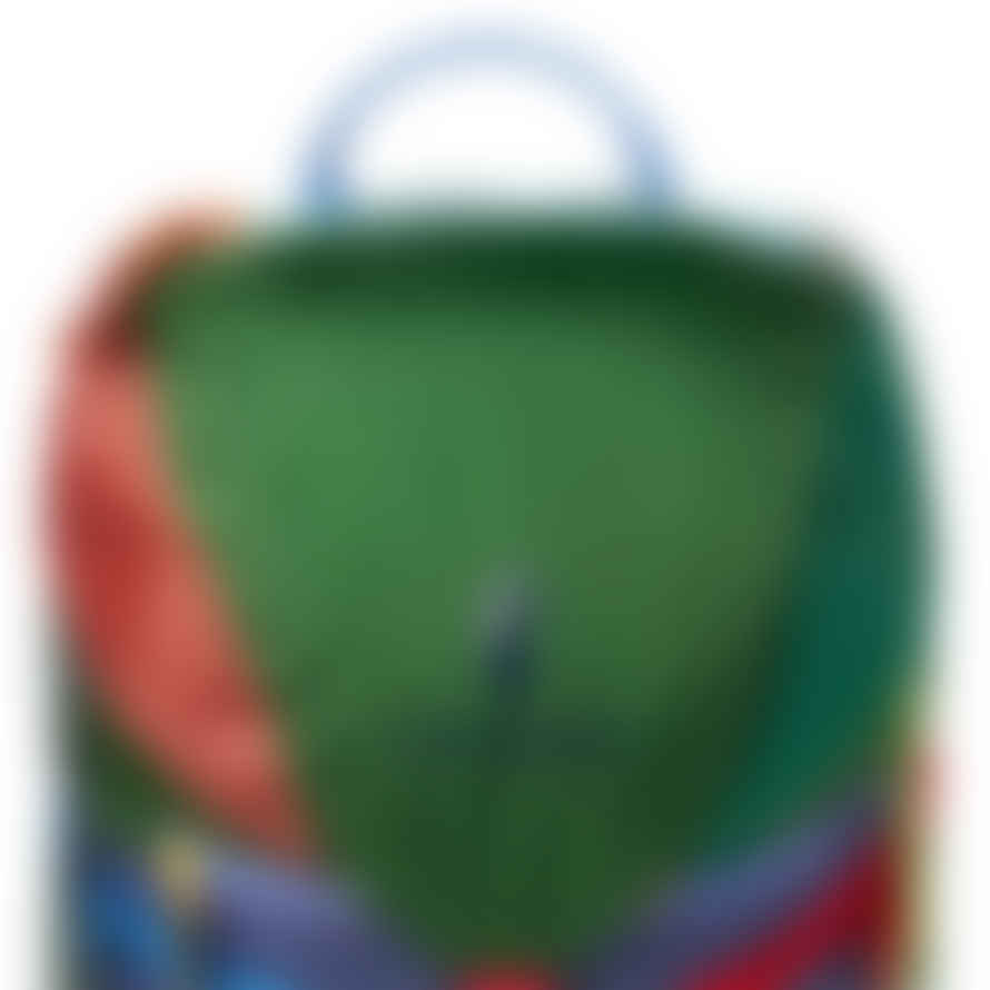 Cotopaxi Tarak 20l Backpack Del Dia - Assorted Colours