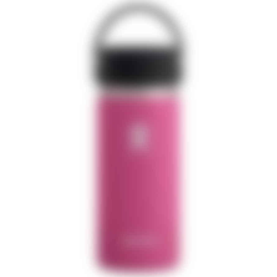 Hydroflask Gourde Coffee Isotherme 16 Oz