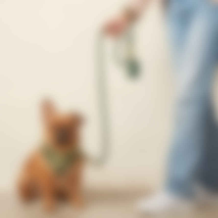 THE FOGGY DOG Evergreen Waxed Canvas Waste Bag Dispenser