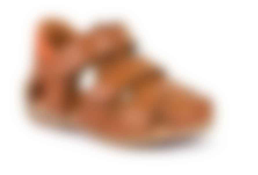 Froddo Brown W Orange Back Sandals