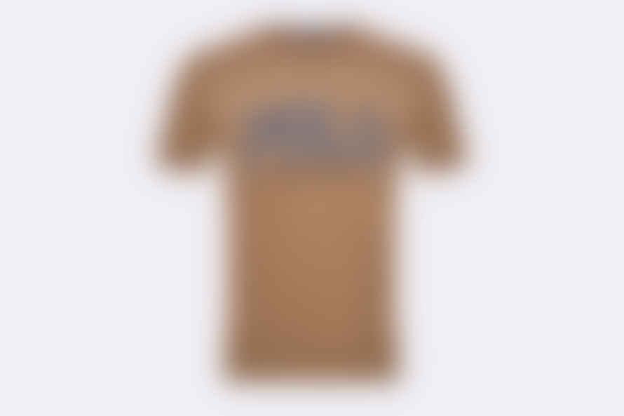 Polo Ralph Lauren Polo Short Sleeve T-shirt Brown