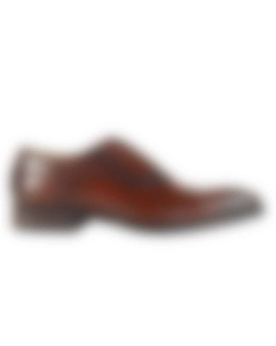 Azor Geneva Oxford Shoes - Brown