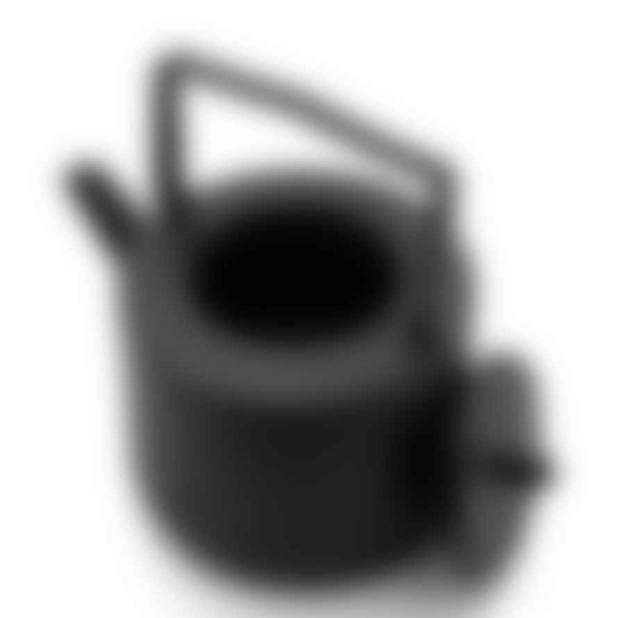 Bredemeijer Holland Tea Set Hubei Design 1.2l Black Cast Iron Teapot With 2 Porcelain Mugs