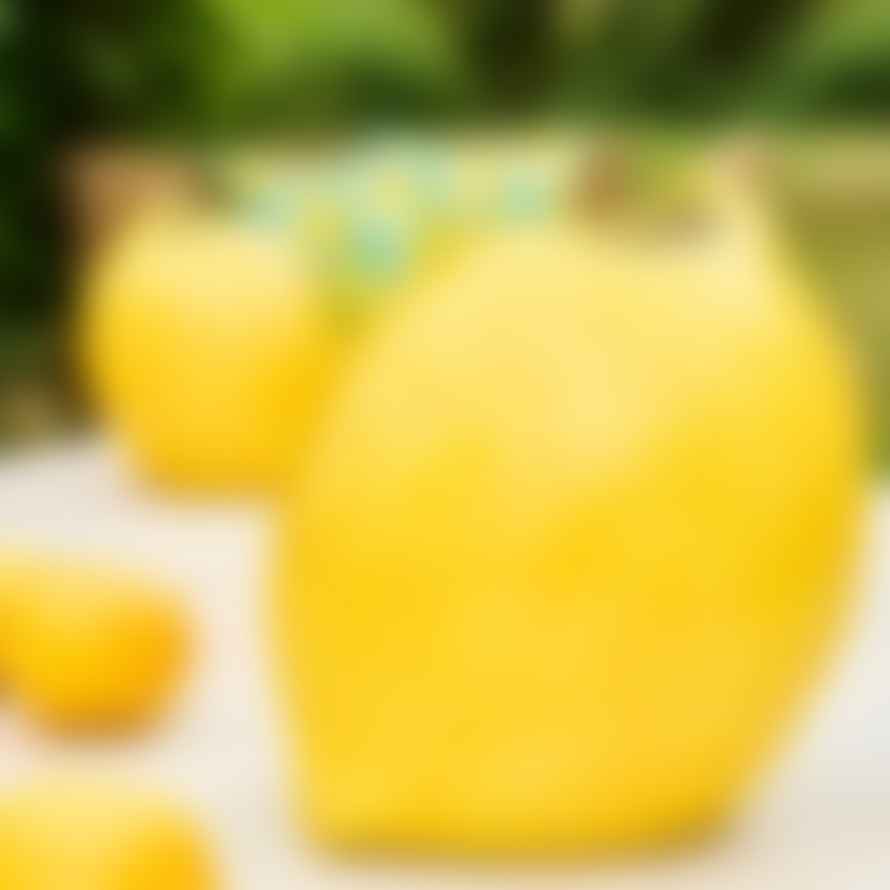 Werner Voss Lemon Shaped Vase : Medium
