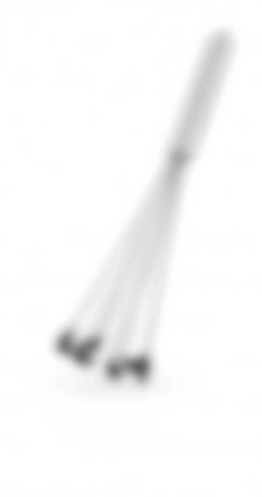 Eva Solo Whisk With Silicone 25 Cms