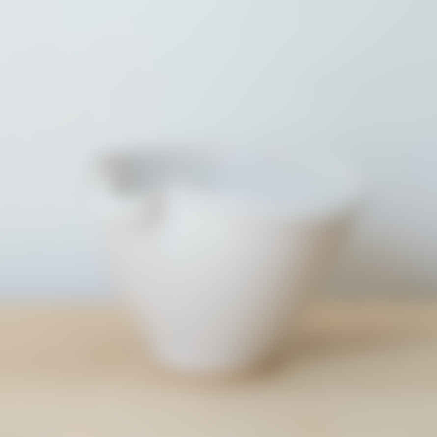 Arwyn Jones Ceramics - Large Mixing Bowls - White