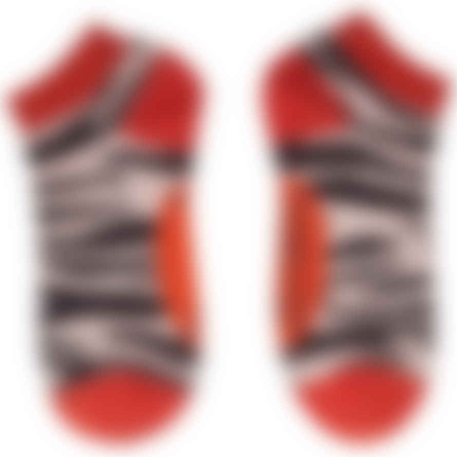 Powder Zebra Print Trainer Socks