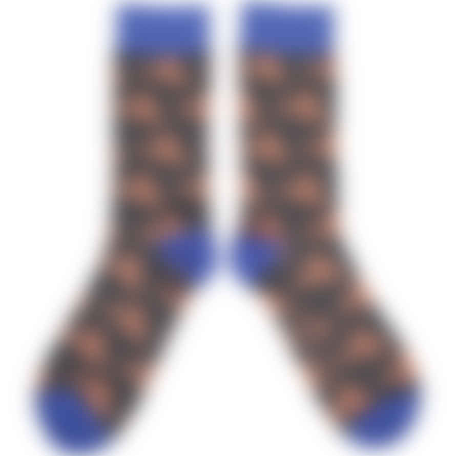 Catherine Tough Men's Lobster Ankle Socks- Slate/ Bright Blue