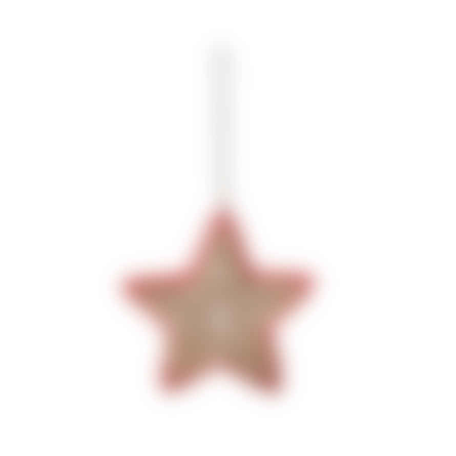 Tara Star Shape Christmas Ornament