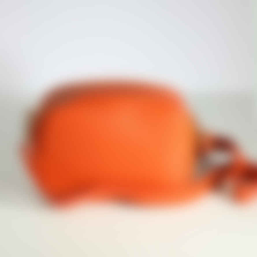source lifestyle  Burnt Orange Leather Crossbody Bag