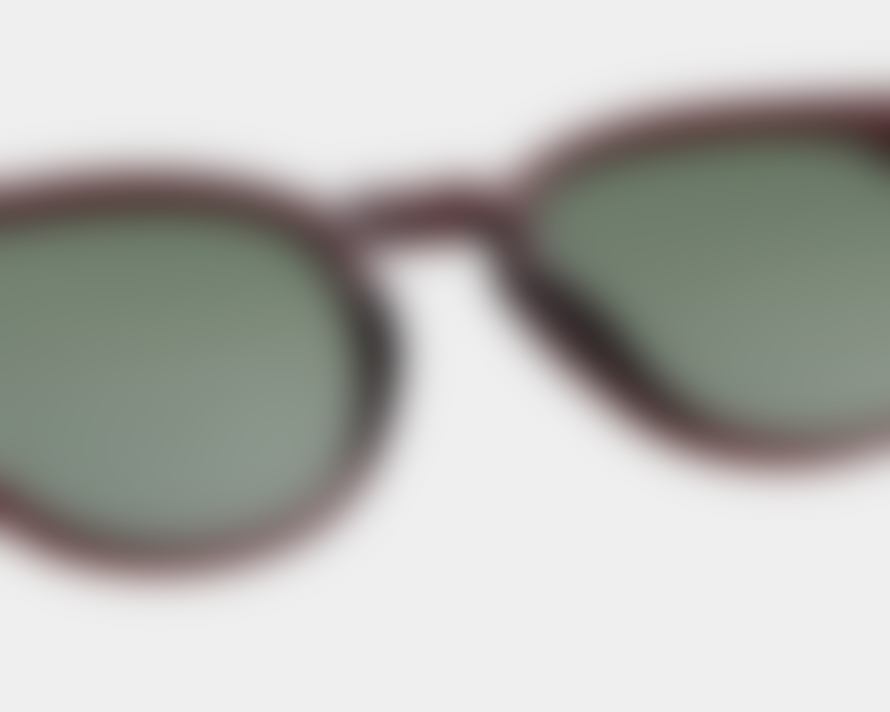 A.K.Jaebede Brown Transparent Bate Sunglasses