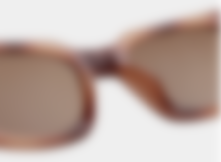 A.K.Jaebede Demi Brown Nancy Sunglasses