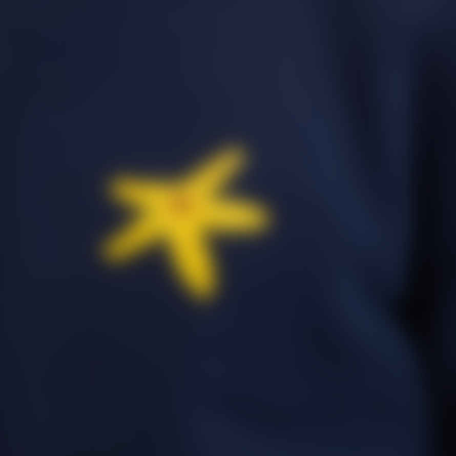 Aga Giecko Starfish Unisex Sweatshirt