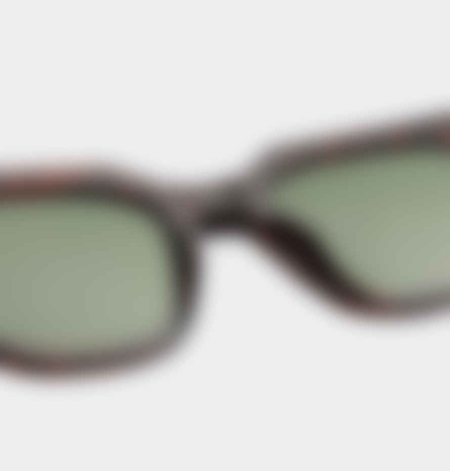 A.Kjaerbede  Kaws Sunglasses - Demi Tortoise