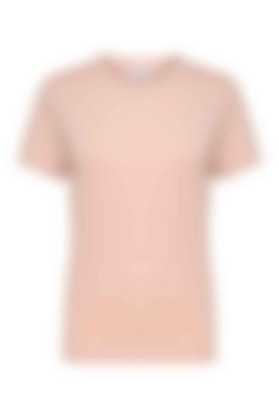 Saint Tropez Adeliasz Sepia Rose Regular T-shirt