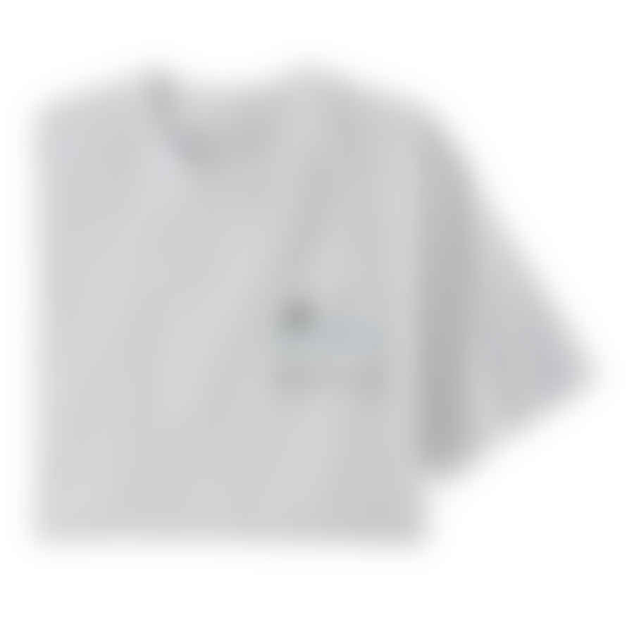 Patagonia Line Logo Ridge Stripe Pocket T-shirt - White