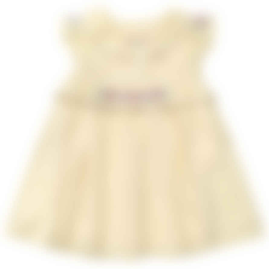 Albetta Aurora Dobby Embroidered Dress