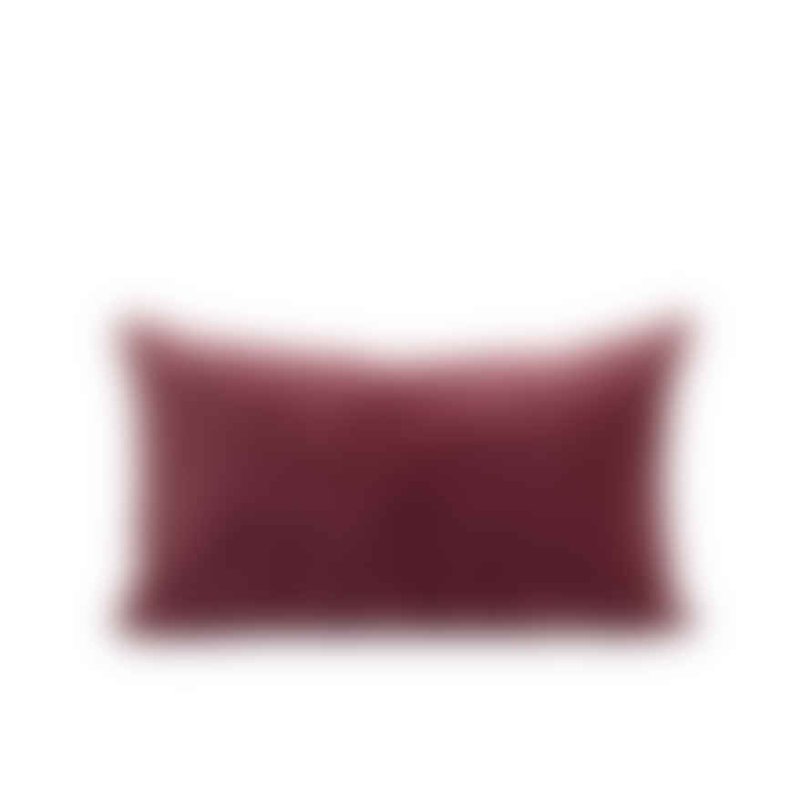 Also Home Misi Pomegranate Velvet Cushion