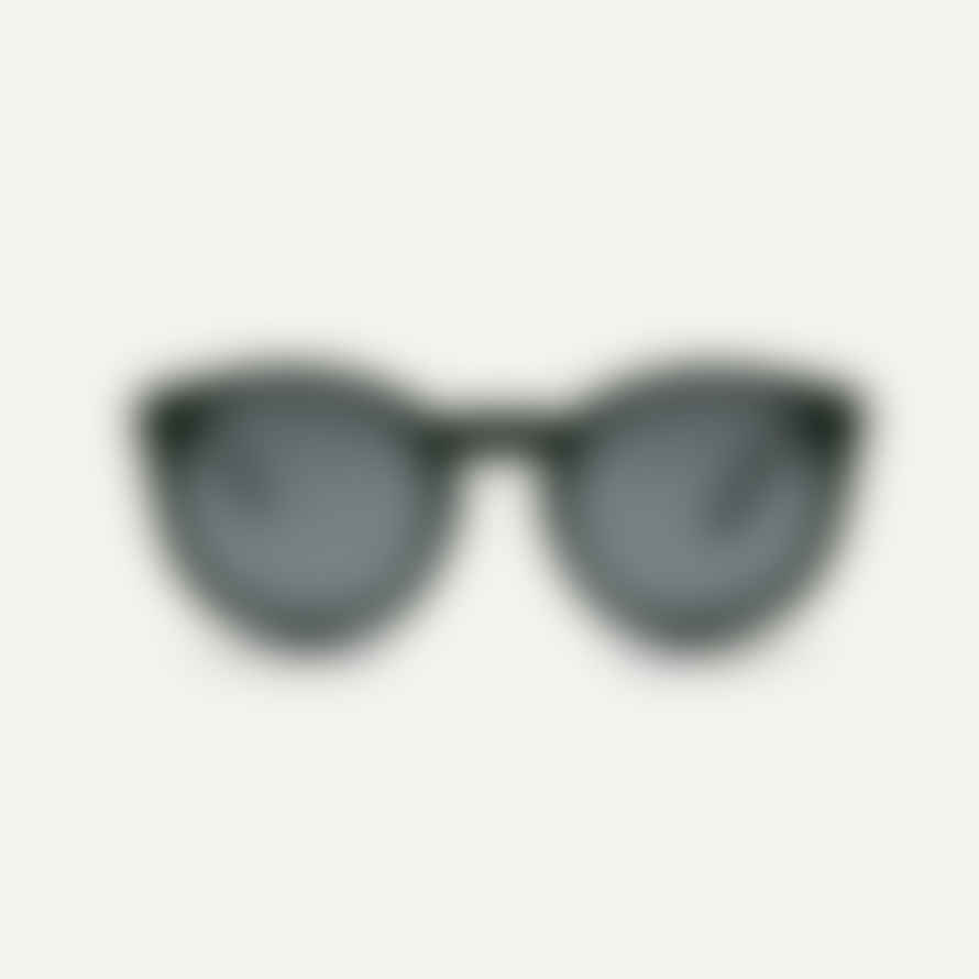 PALA Sunglasses Matt Black  Asha Sunglasses