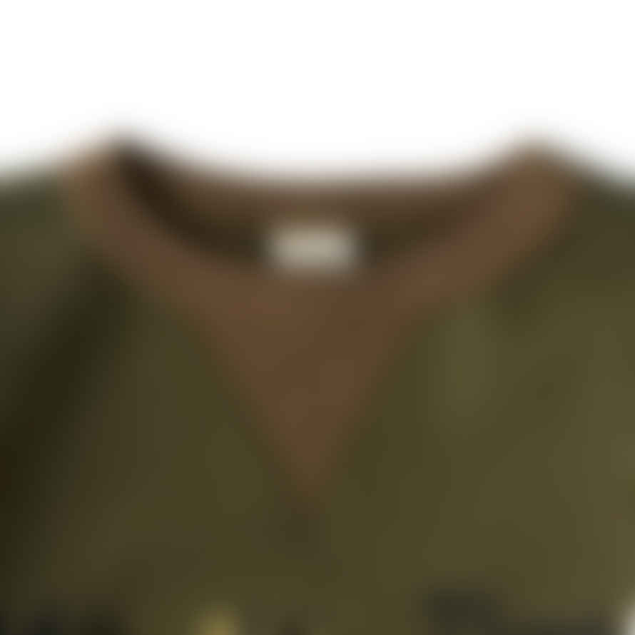 Buzz Rickson's Crew Neck "bring Up Father" Br69064 - Olive