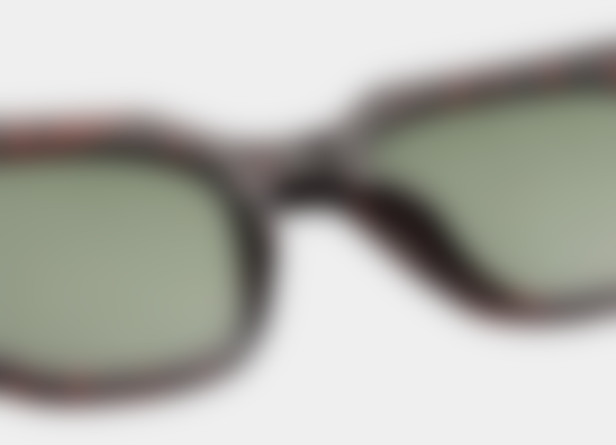 A.K.Jaebede Demi Tortoise Kaws Sunglasses