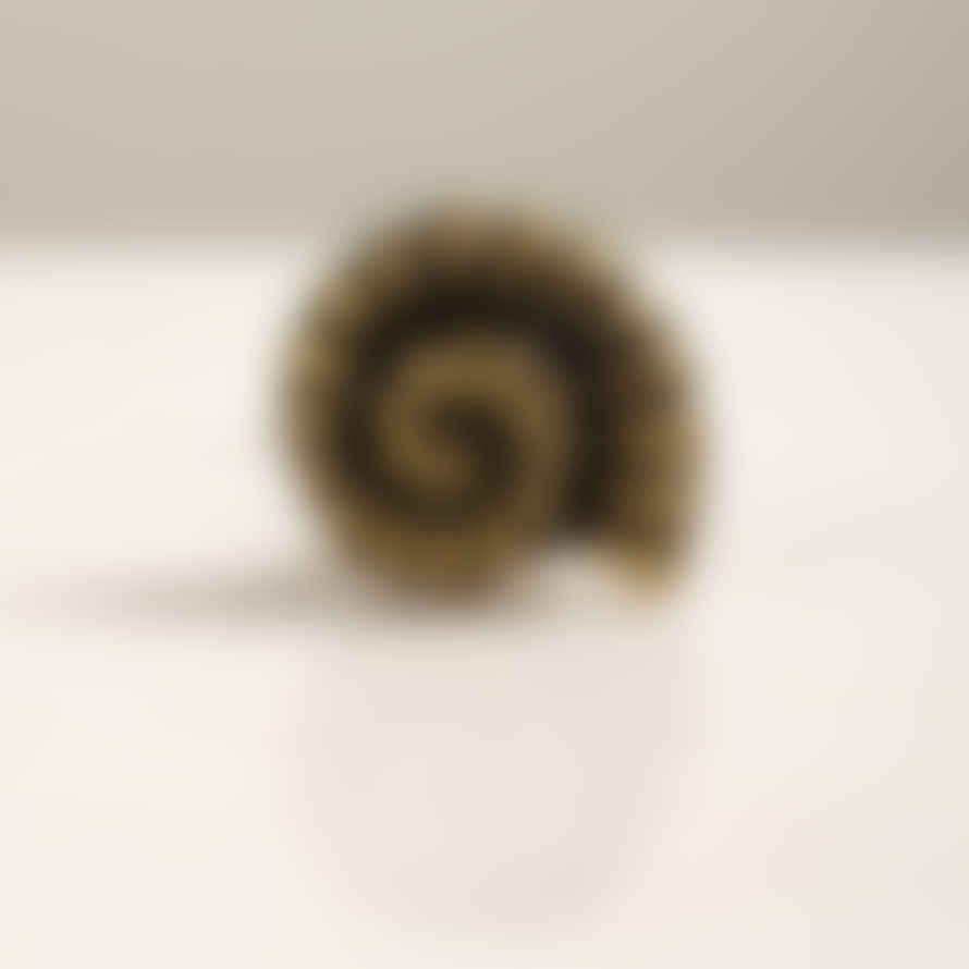 Distinctly Living Golden Ammonite Cabinet Knob