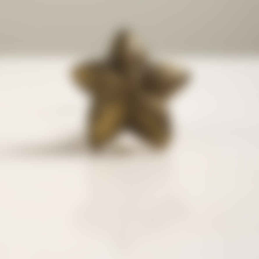 Distinctly Living Golden Starfish Cabinet Knob