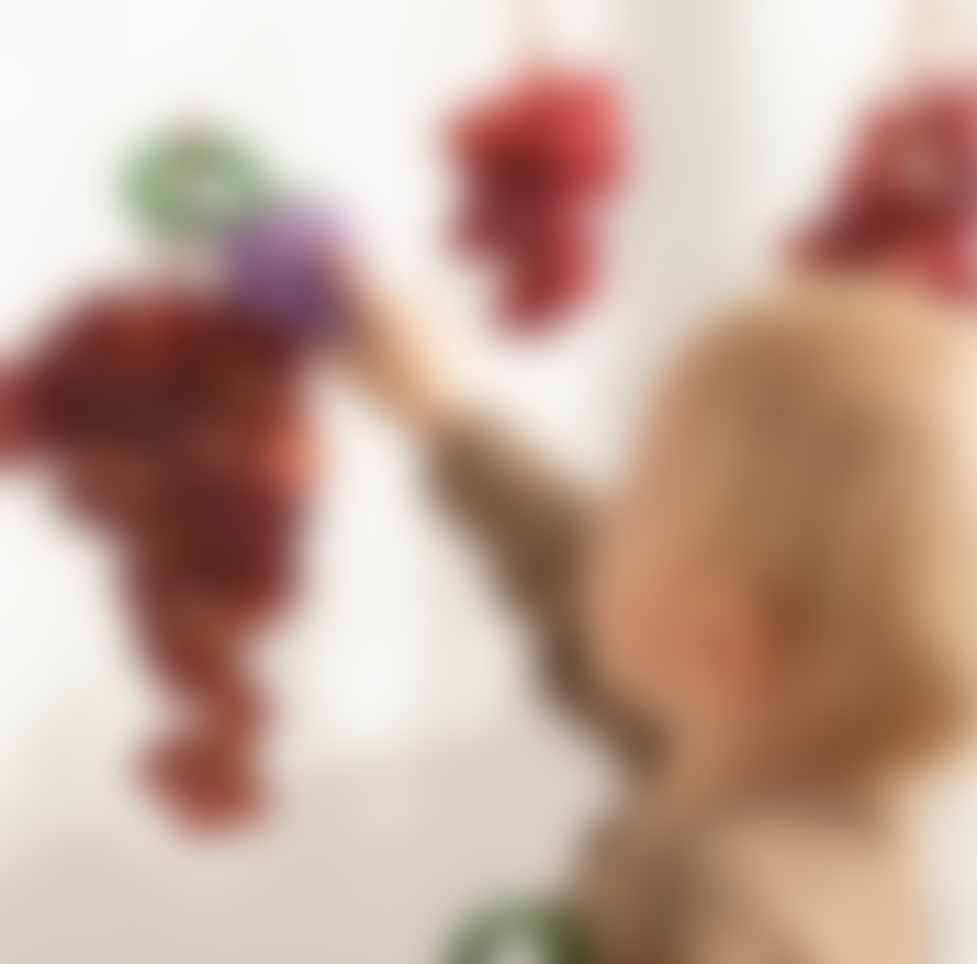 Oli & Carol Grape Baby Rattle, Teether & Bath Toy. Age 0+