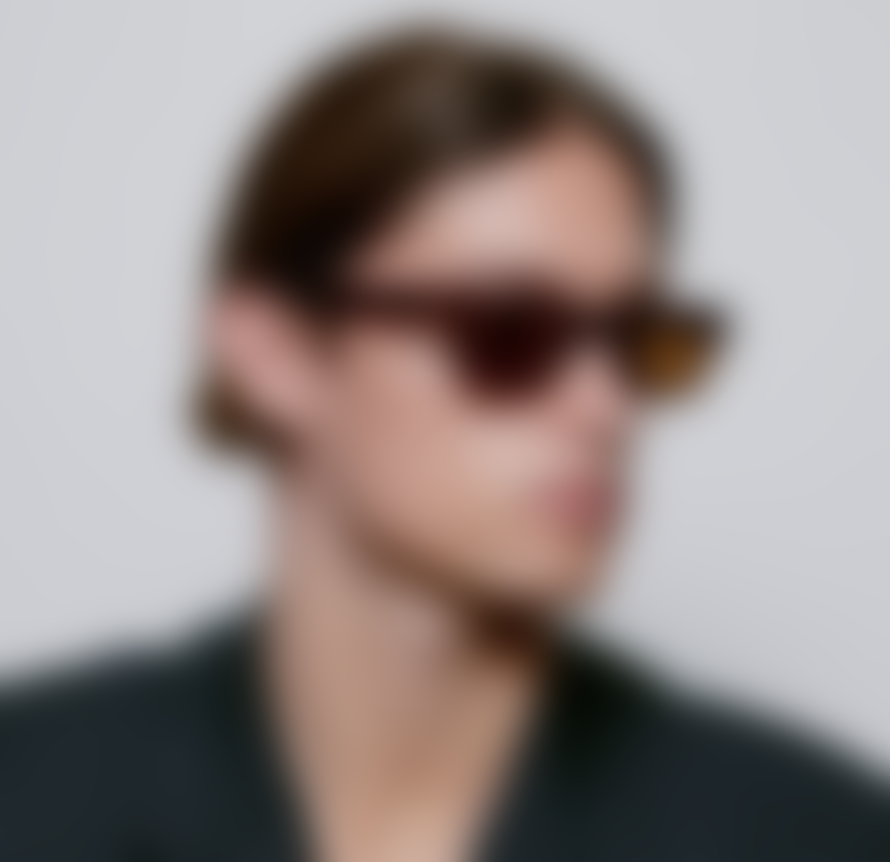 A.K.Jaebede Brown/Demi Light Brown Bror Sunglasses