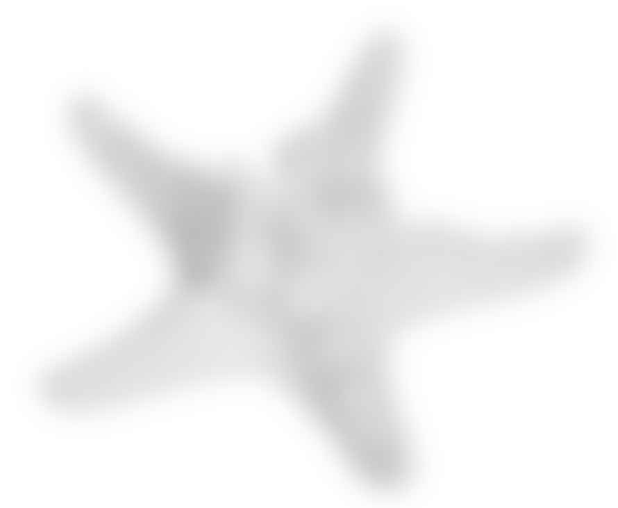 Quay Decorative White Resin Starfish