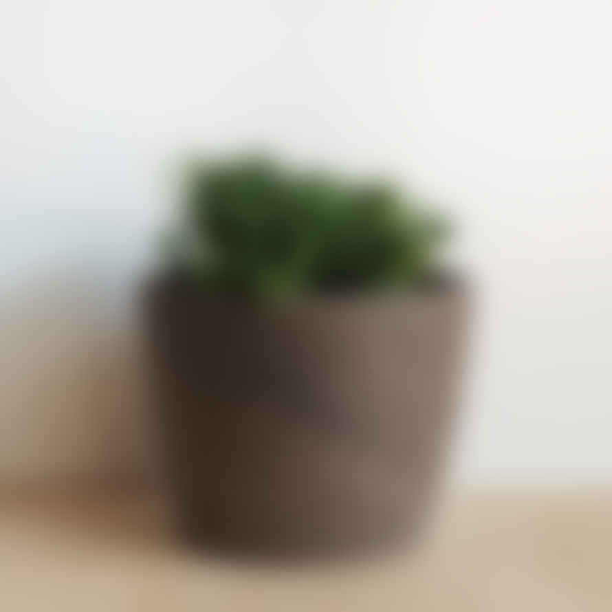 Hi Cacti 12cm Marbled Terracotta Plant Pots (No Plant)