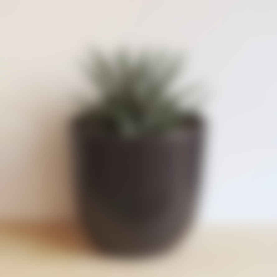 Hi Cacti Small Oval Ceramic Pot (No Plant)