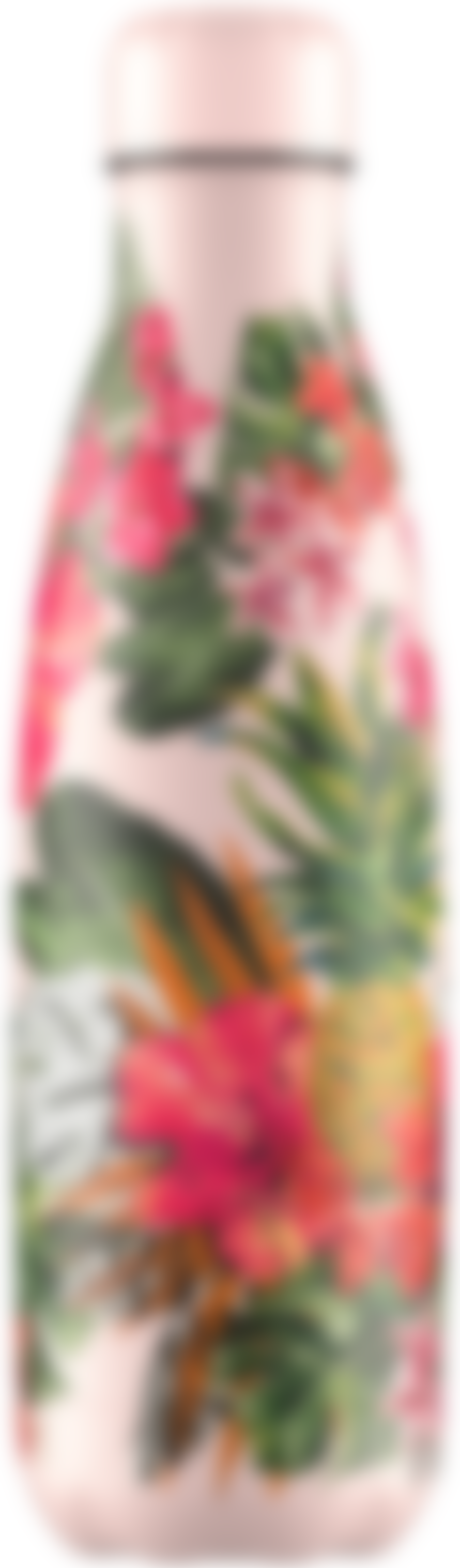 Chilly's Bottle Tropical Edition 500ml - Hidden Toucan
