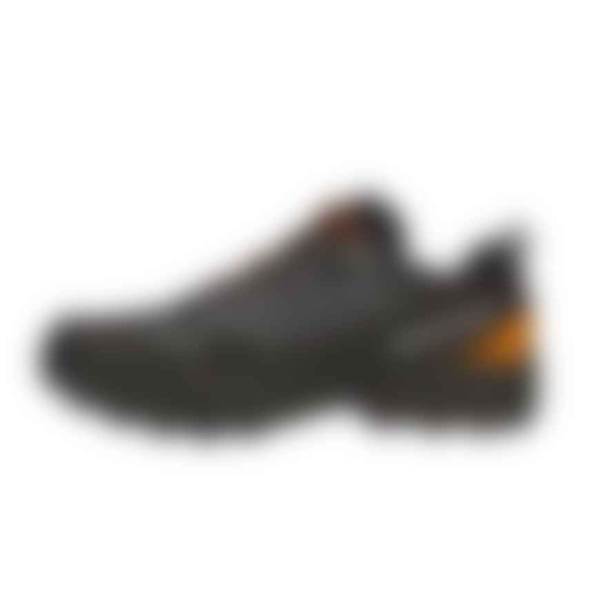 Trouva: Ribelle Run XT GTX Men Anthracite/Tonic shoes