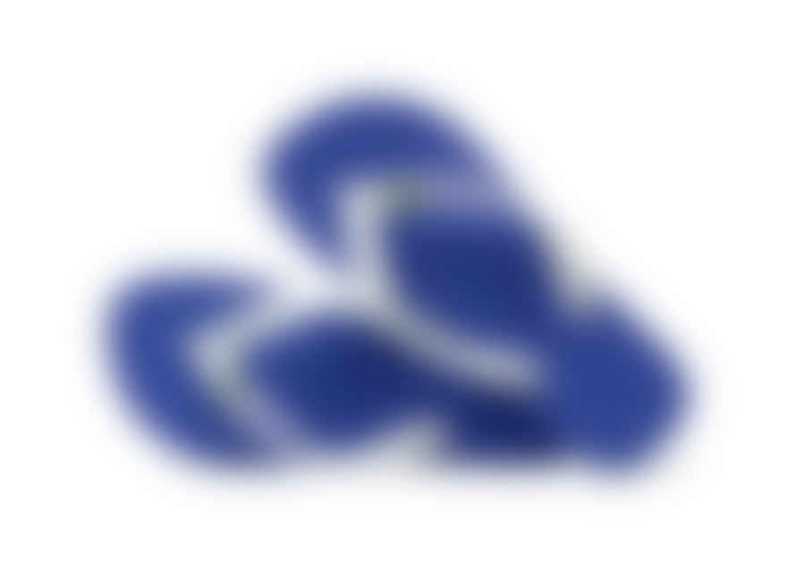 Havaianas Marine Blue Brasil Logo Flip Flops