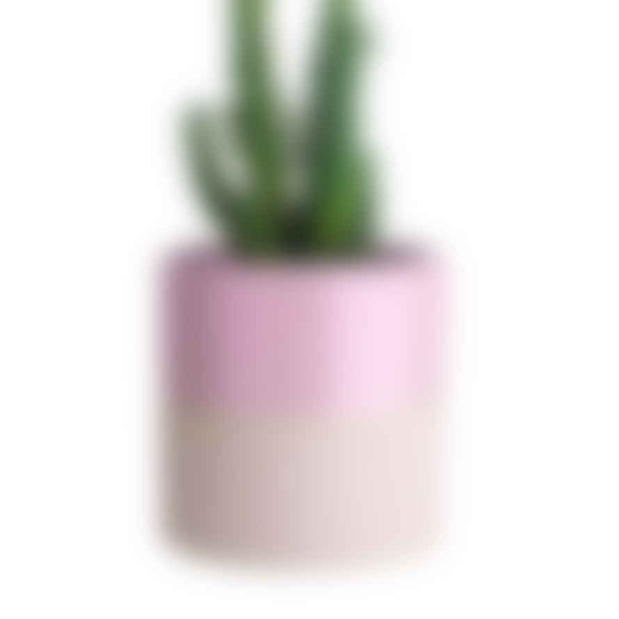 Toki Mini Plant Pot