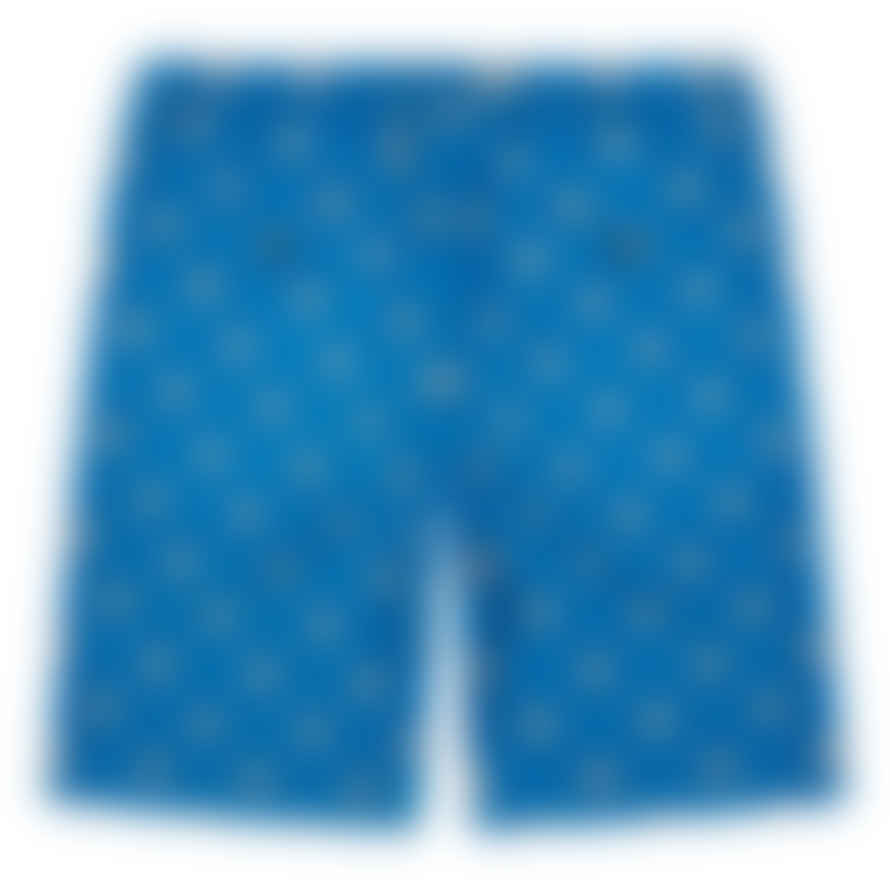 Marni Blue Daisy Print Shorts