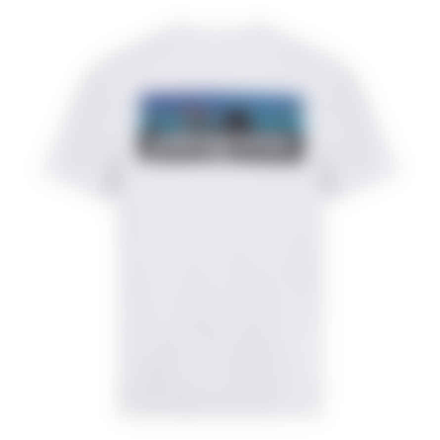 Patagonia White T-shirt P-6 Logo