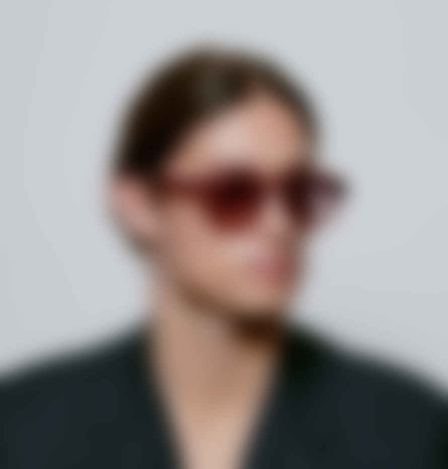 A Kjærbede Brown Transparent Zan Sunglasses