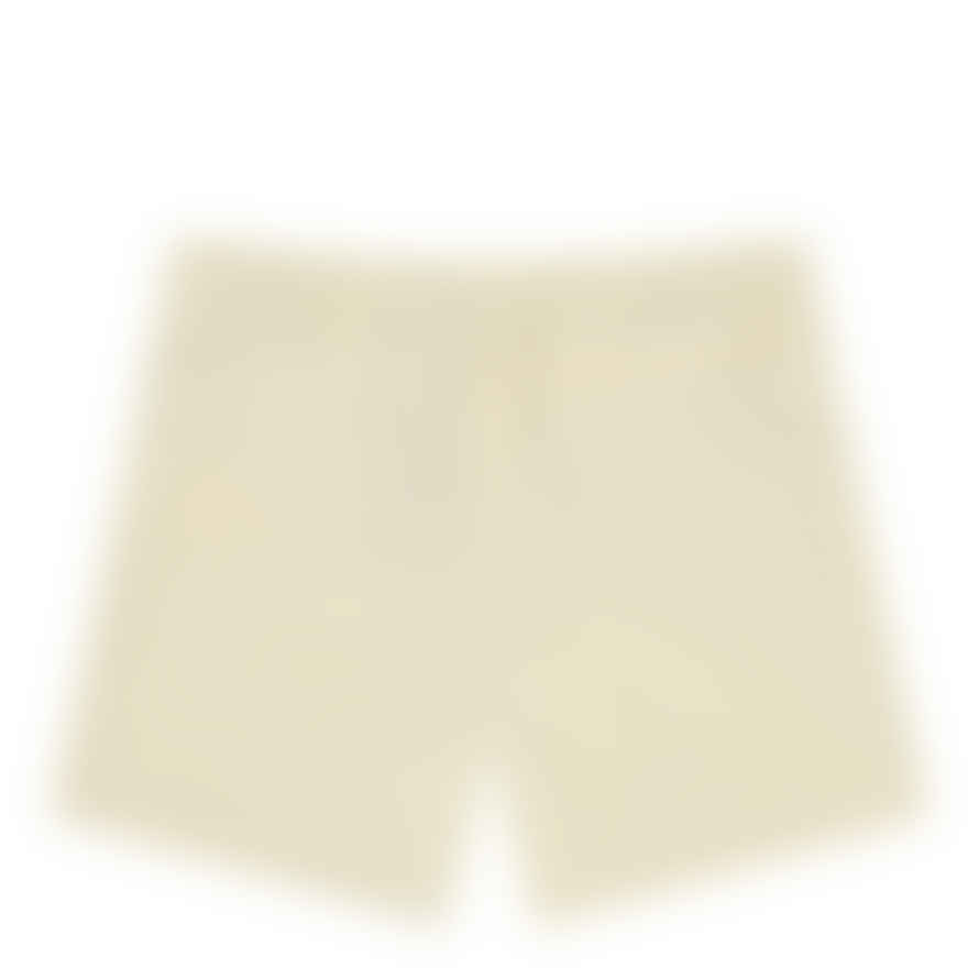 Stüssy Cream Big Basic Water Shorts