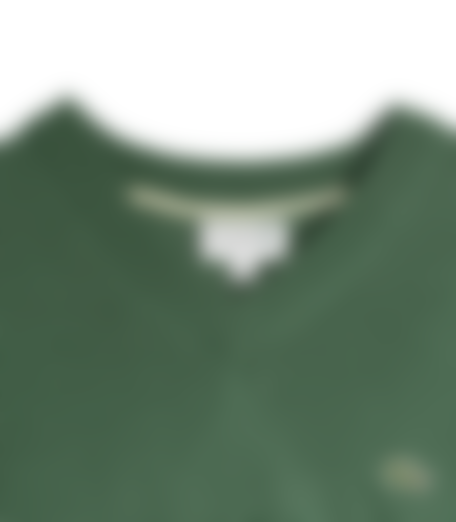 Lacoste Lacoste Jersey Tricot V Neck Green