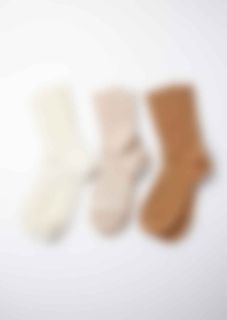 RoToTo Rototo | Organic Daily 3 Pack Ribbed Socks | Ecru/brown Or Ecru/gray