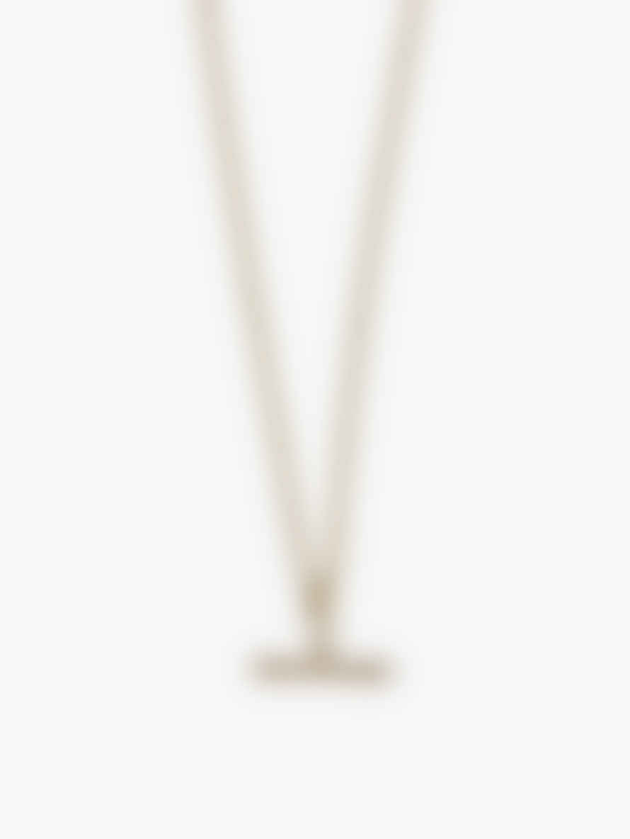 Big Metal Octavia Tbar Chain Necklace