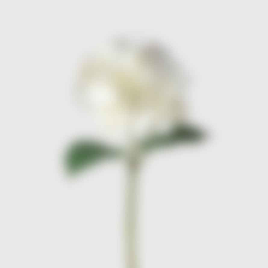 Distinctly Living Real Feel Hydrangea White - Flowers
