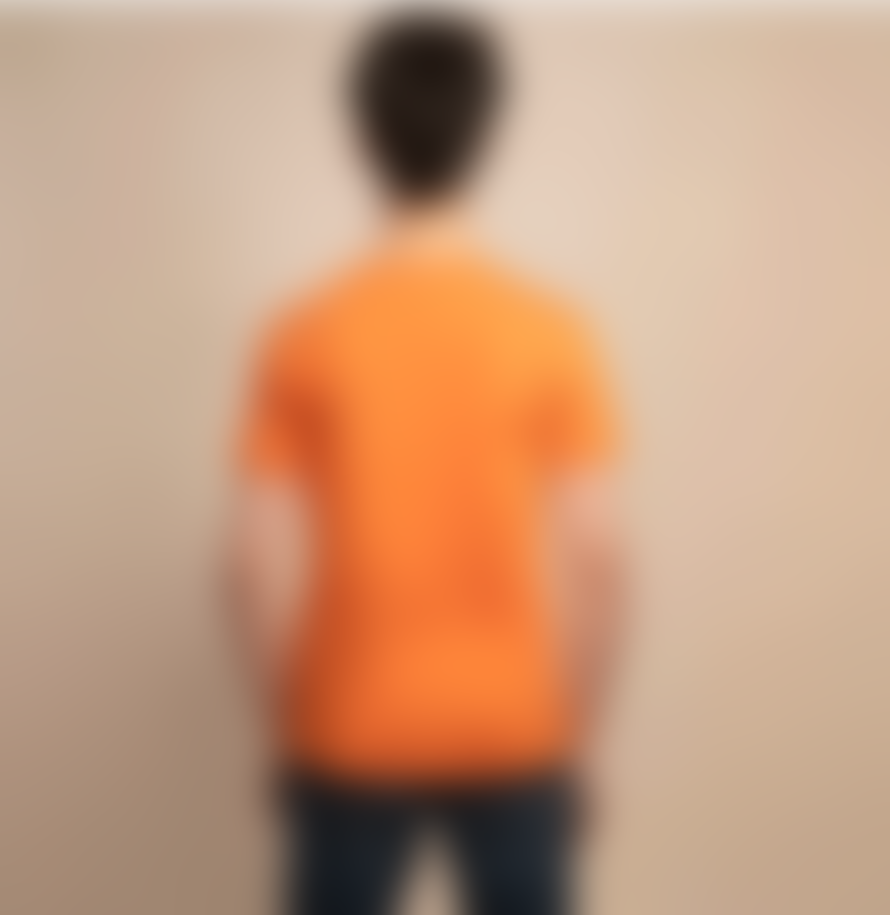 SWOLE PANDA Refibra T-shirt In Orange