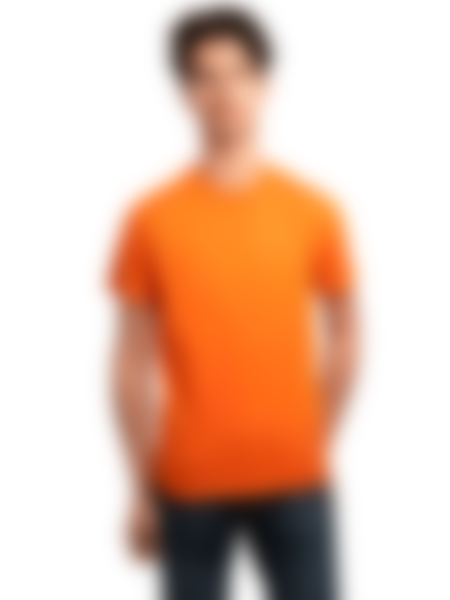SWOLE PANDA Refibra T-shirt In Orange