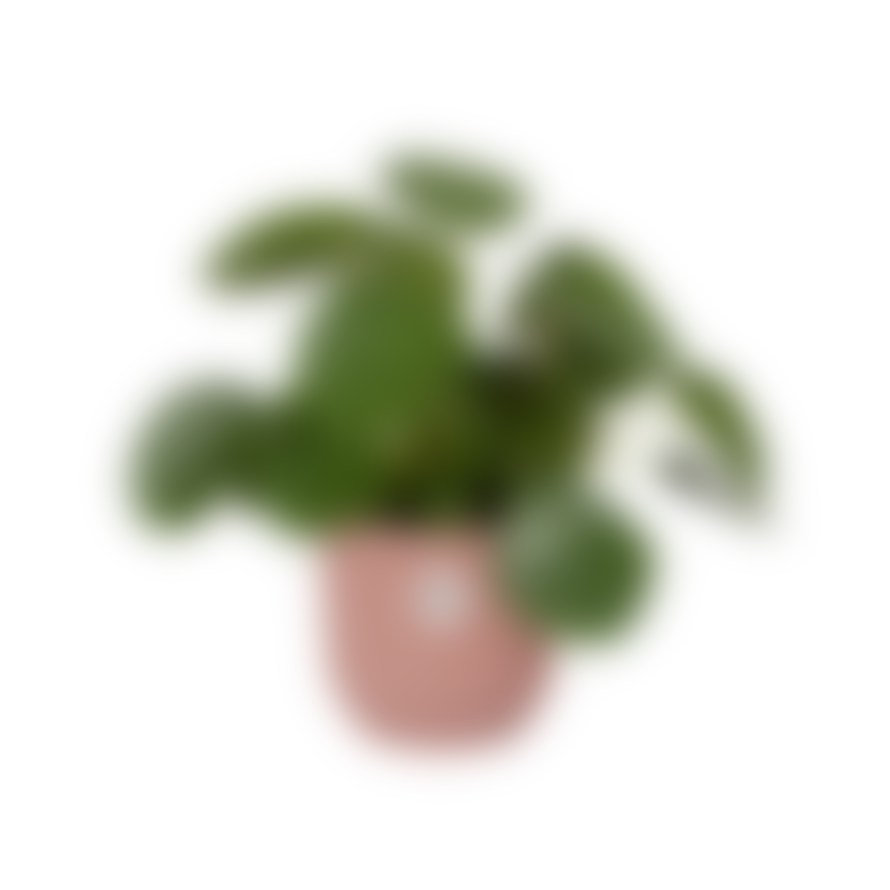 elho 30cm Delicate Pink Vibes Plant Pot In Recycled Plastic