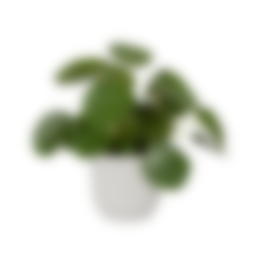 elho Vibes Plant Pot In Recycled Plastic