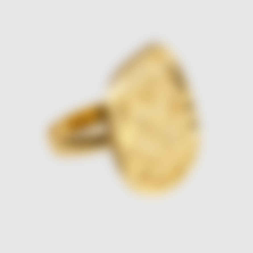 india Indian Tiger Sovereign Ring